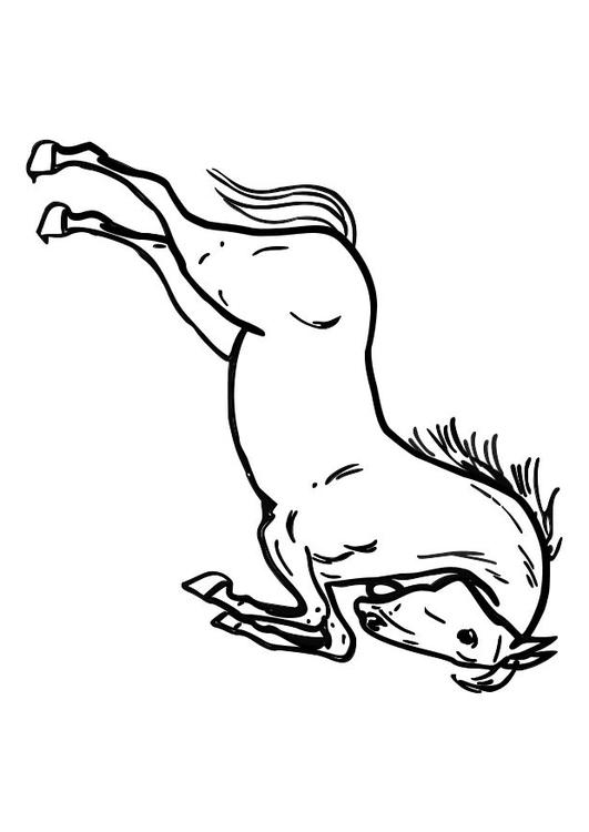 cheval sotant