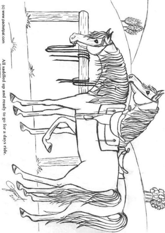 chevaux sellés