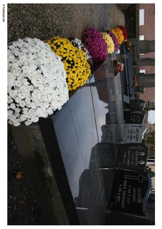 cimetière