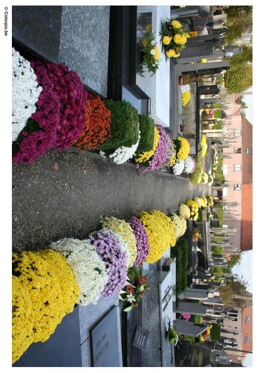 cimetière