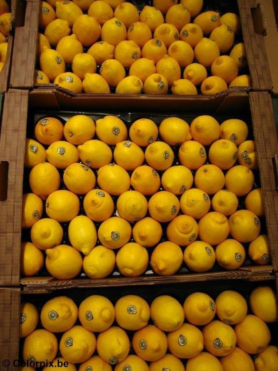 citrons