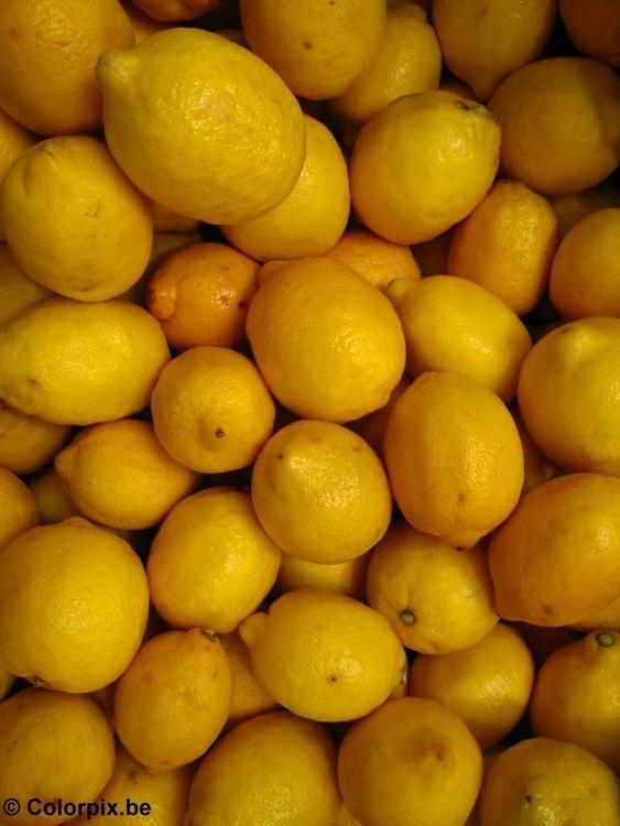 citrons