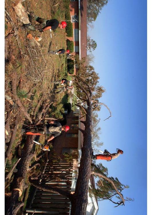 dégâts après un ouragan