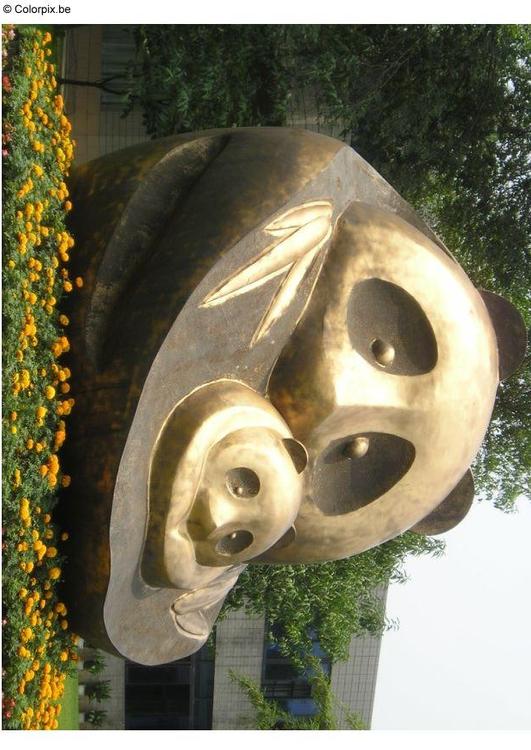 des pandas