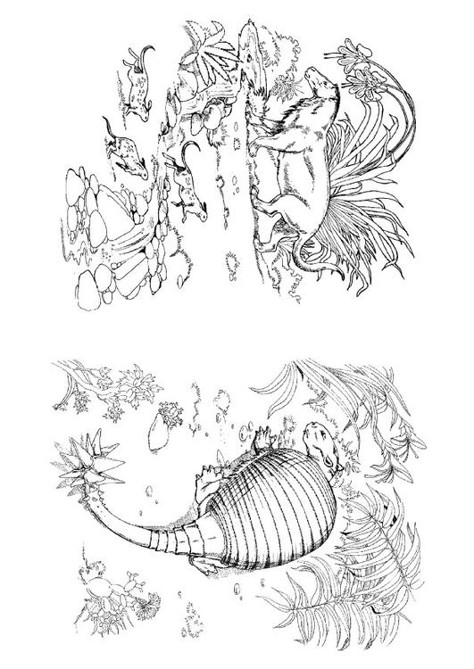 dino et herbivore