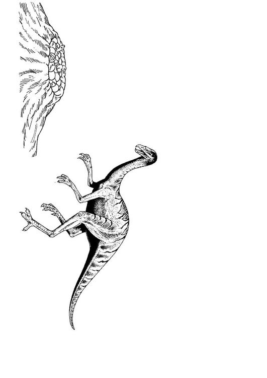 dino près du nid