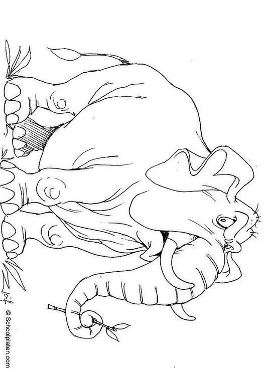 éléphant