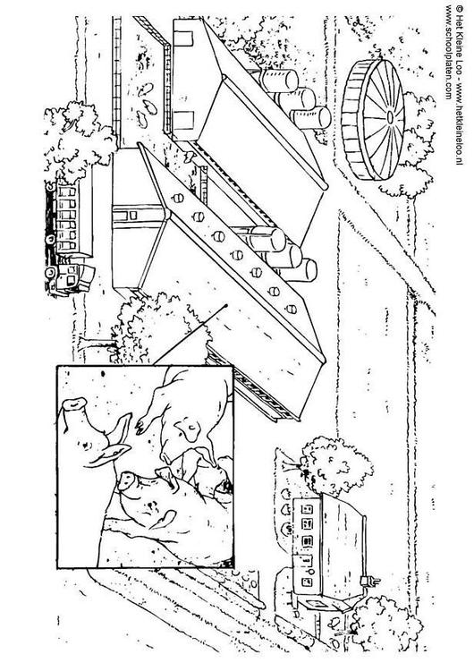 élevage de porcs