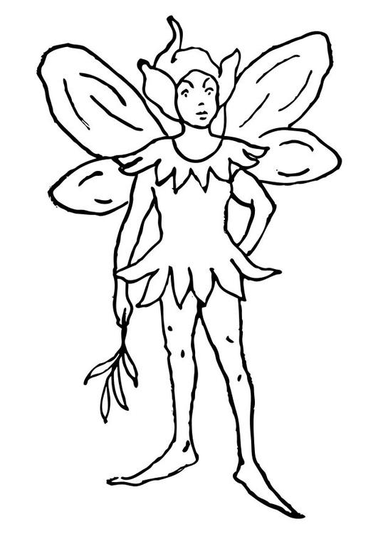 elfe