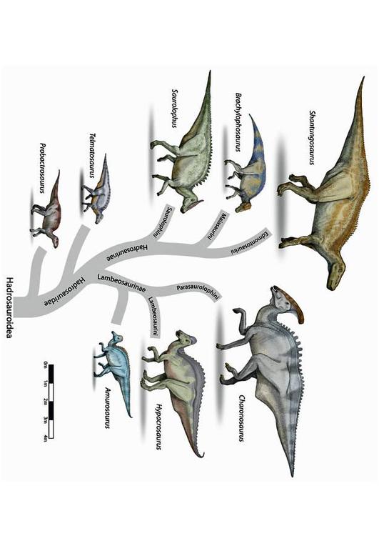 évolution des dinosaures