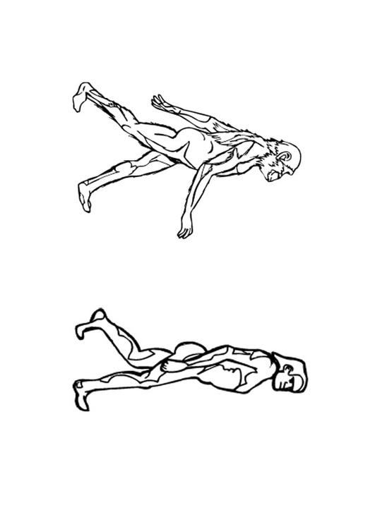 évolution