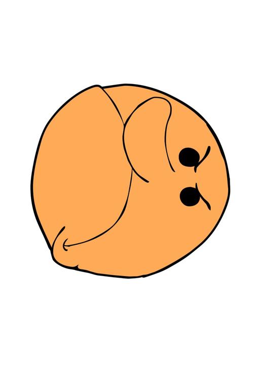 fâché