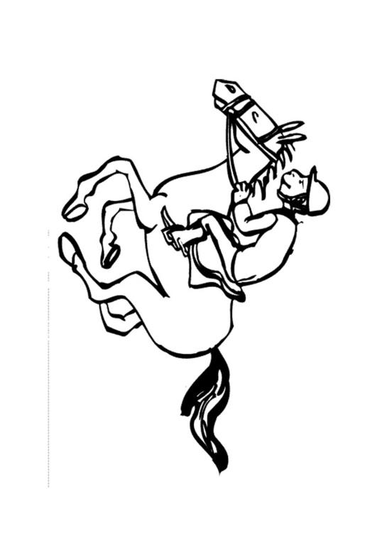 faire de l'équitation
