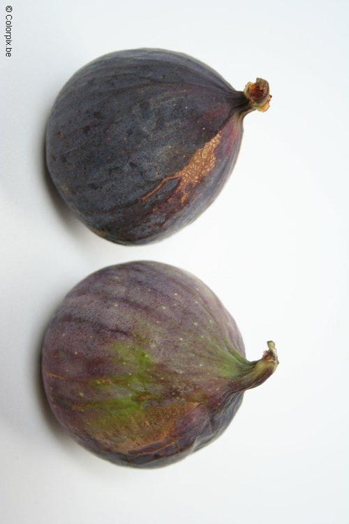 figues