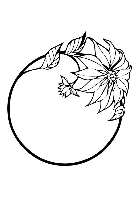 fleur de Noël