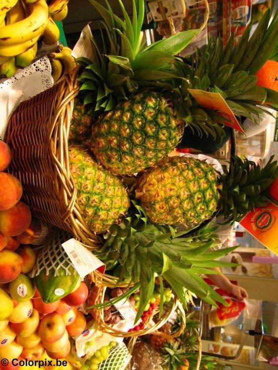 fruits
