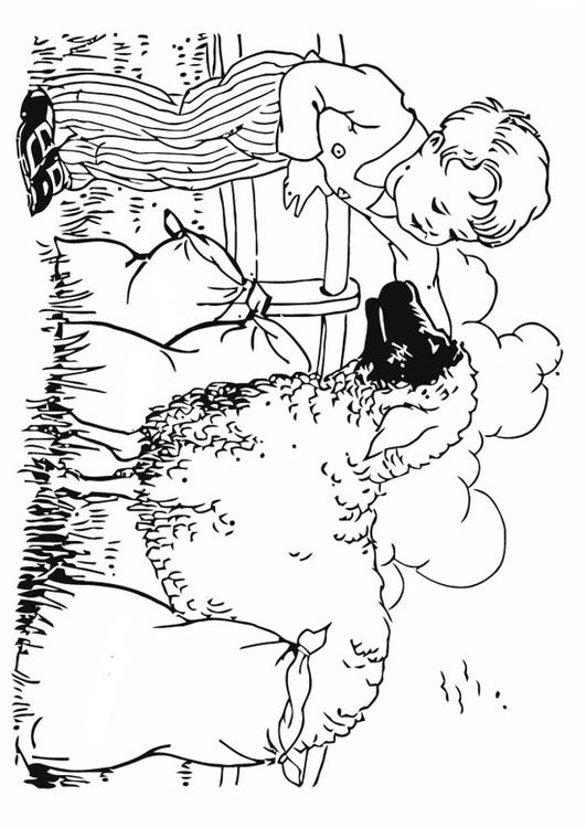 garçon avec mouton