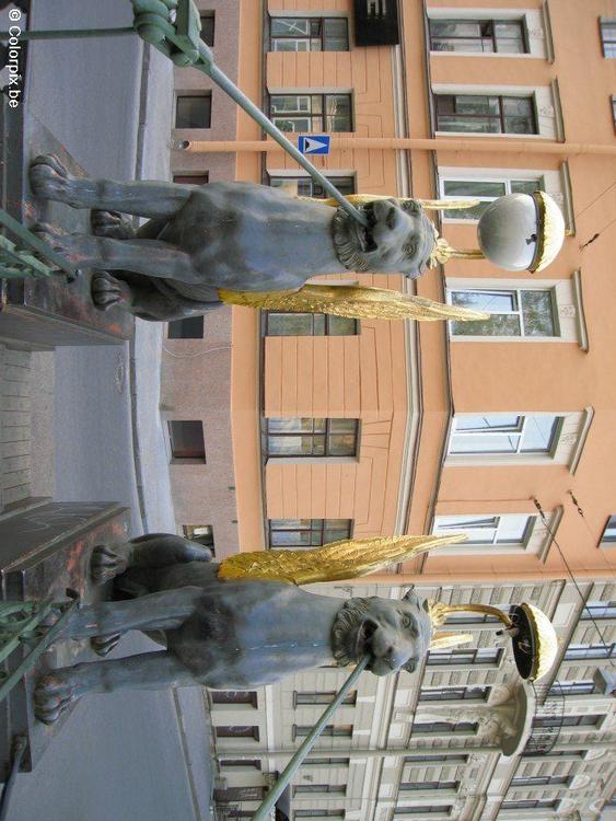 griffons
