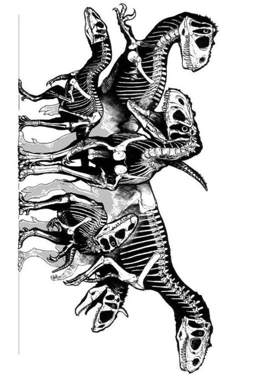 groupe de dinosaures - squelettes