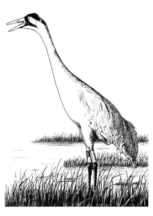 grue