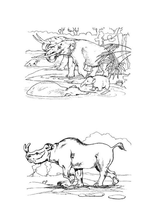herbivores