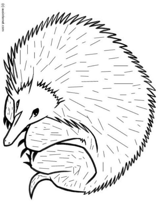 hérisson