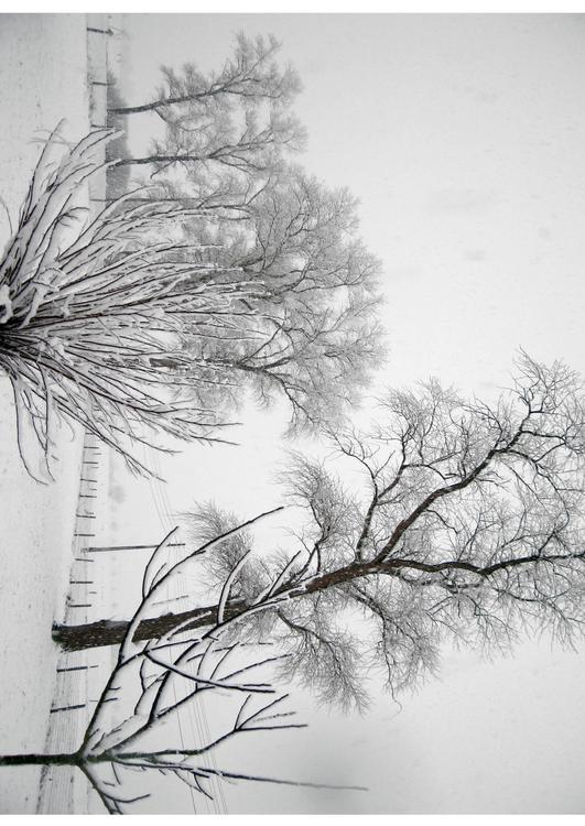 hiver