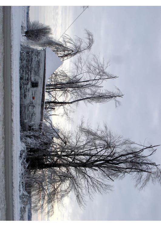 hiver