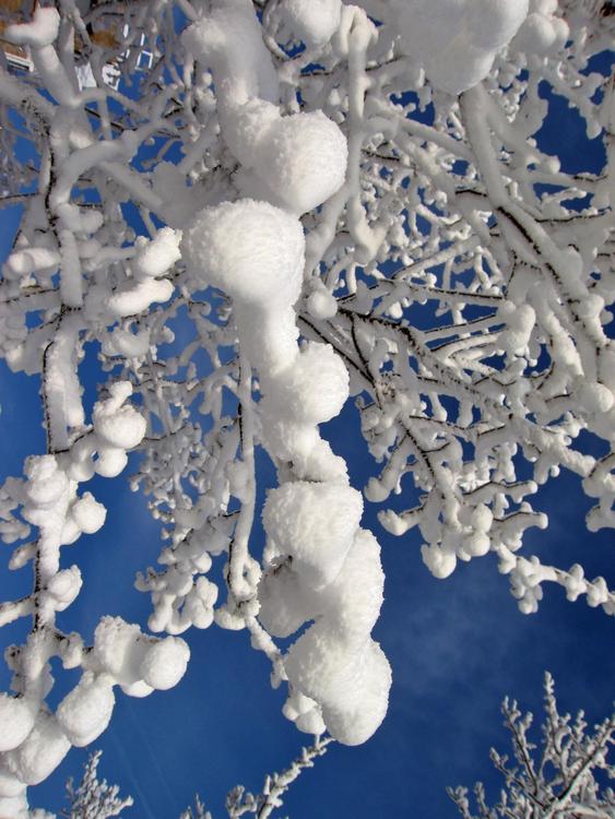 hiver