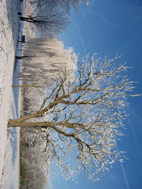 hiver