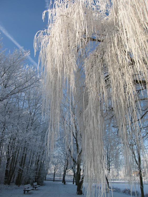hiver