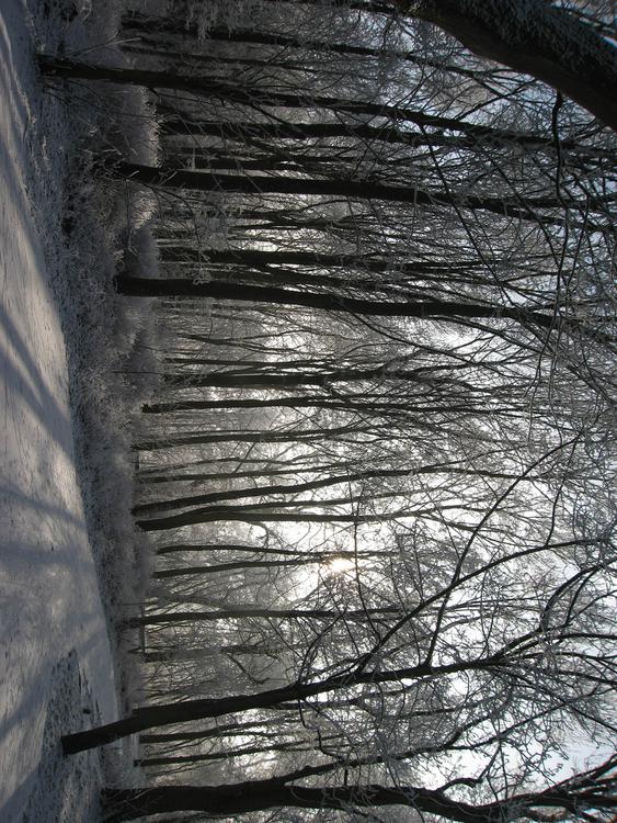 hiver