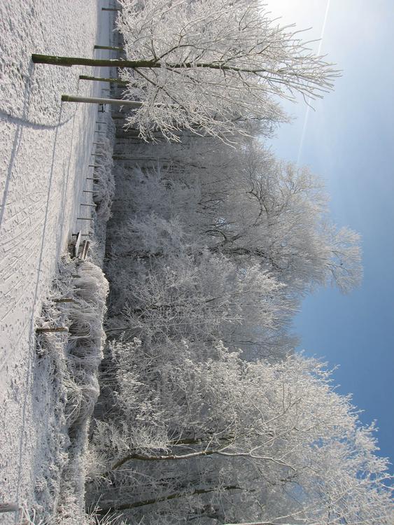 hiver