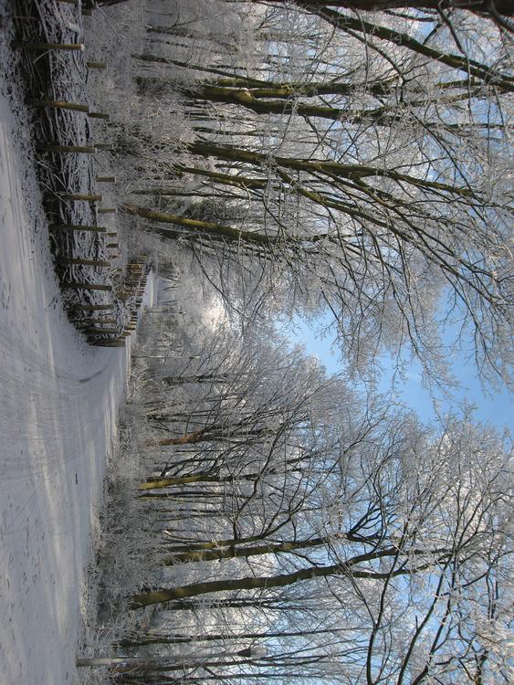 hiver