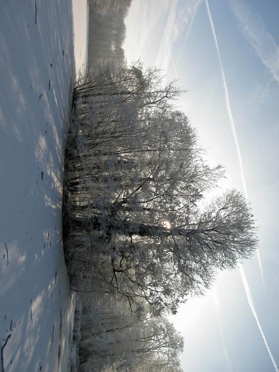 hiver