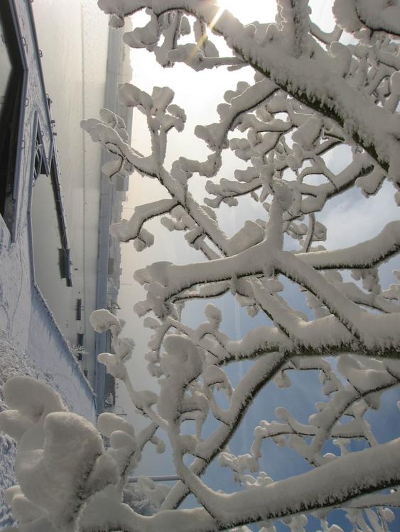 hiver