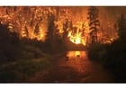Photos incendie de forêt