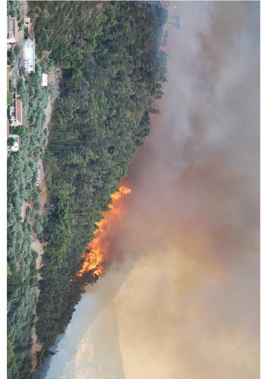 incendie de forêt