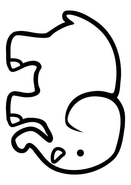 l'éléphant