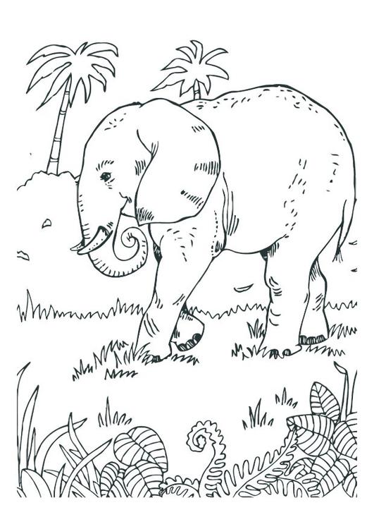 l'éléphant