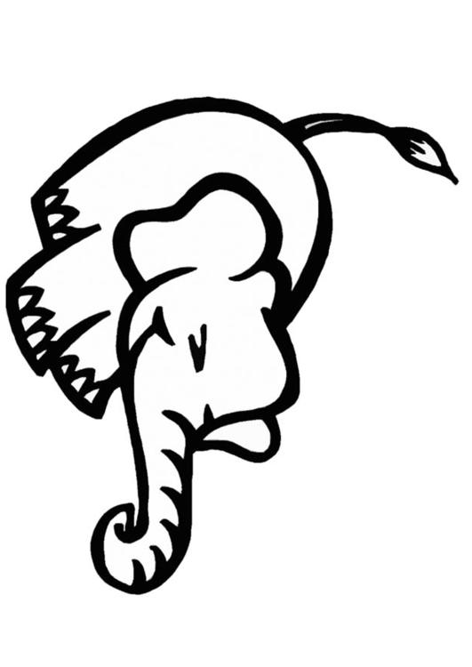 l'éléphant