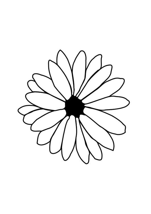 la fleur