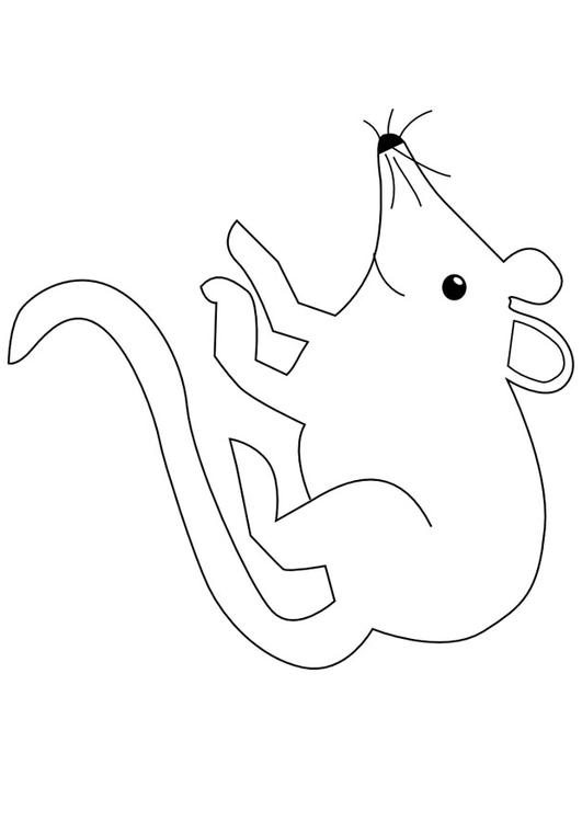 la souris