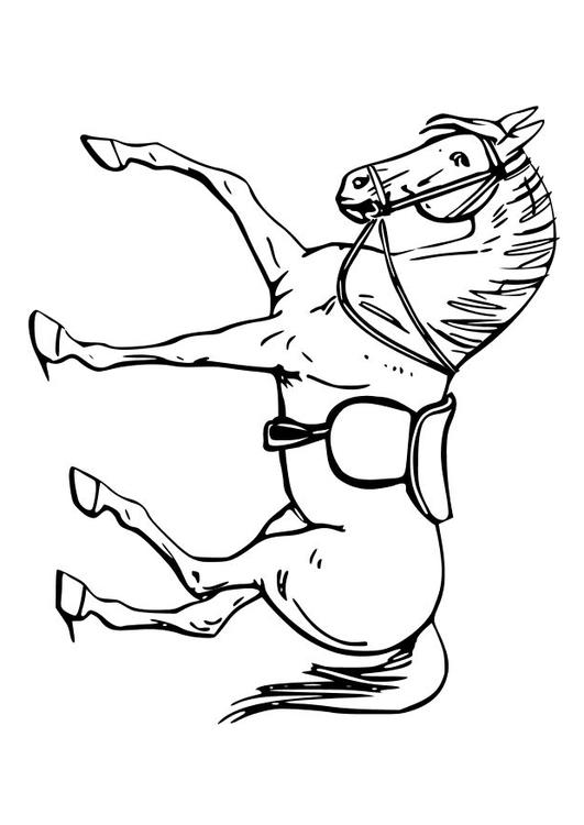 le cheval