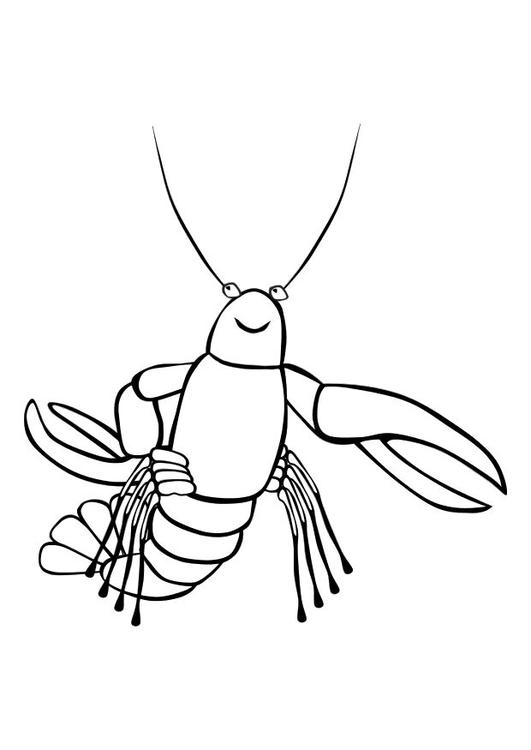 le homard
