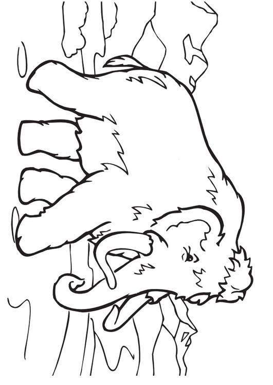 le mammouth