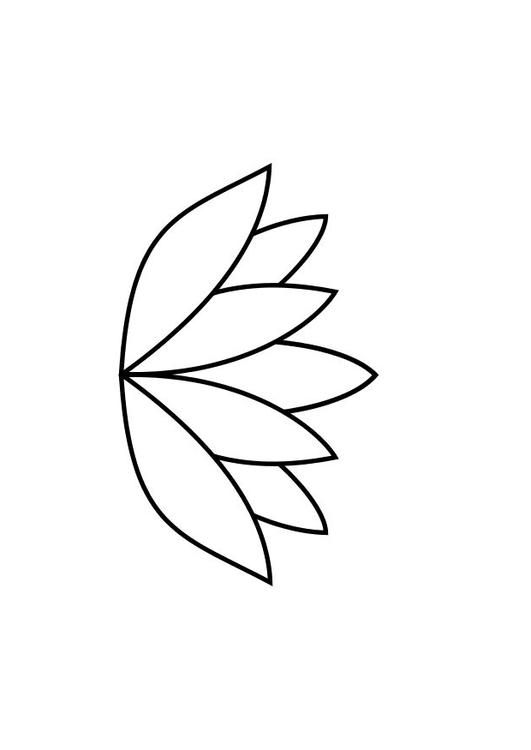 le nénuphar