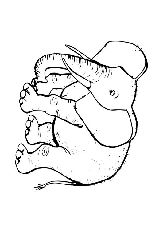 l'éléphant