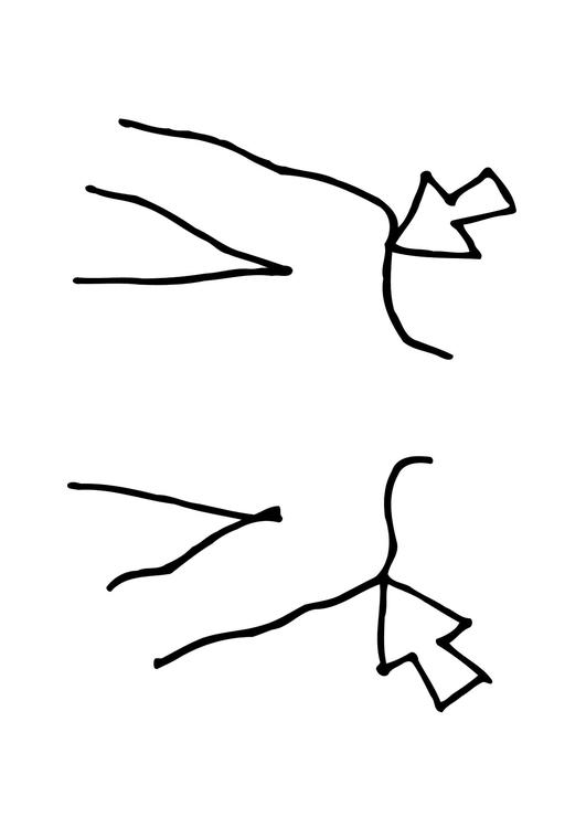 les épaules