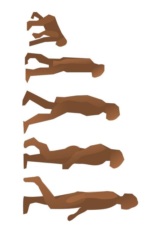 l'évolution des humains